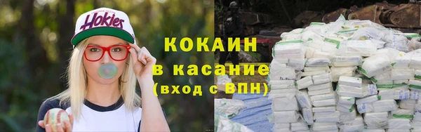 соль ск Дмитриев