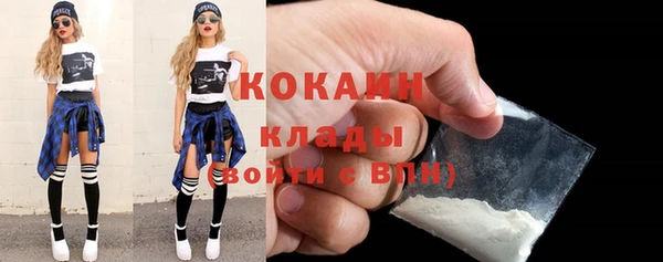 соль ск Дмитриев