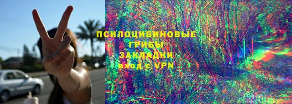 мдпв Дмитров