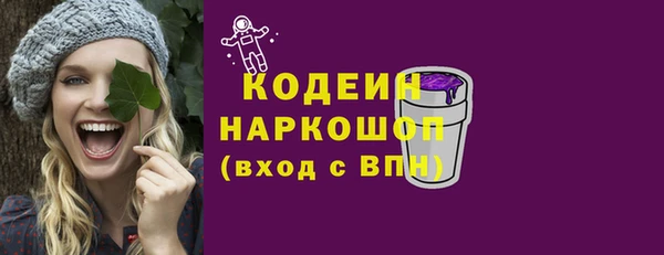 соль ск Дмитриев