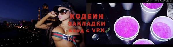 соль ск Дмитриев