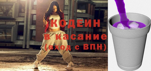 соль ск Дмитриев