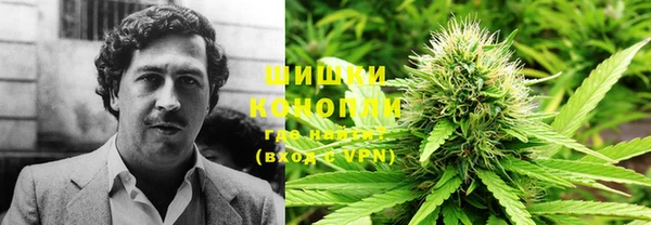 соль ск Дмитриев